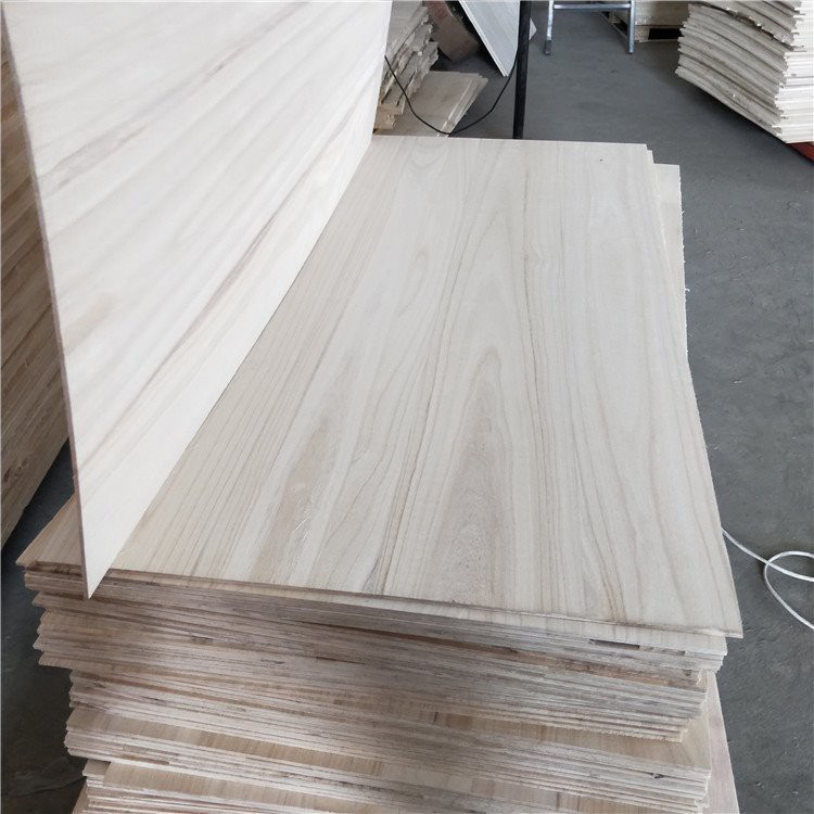 Paulownia Coffin