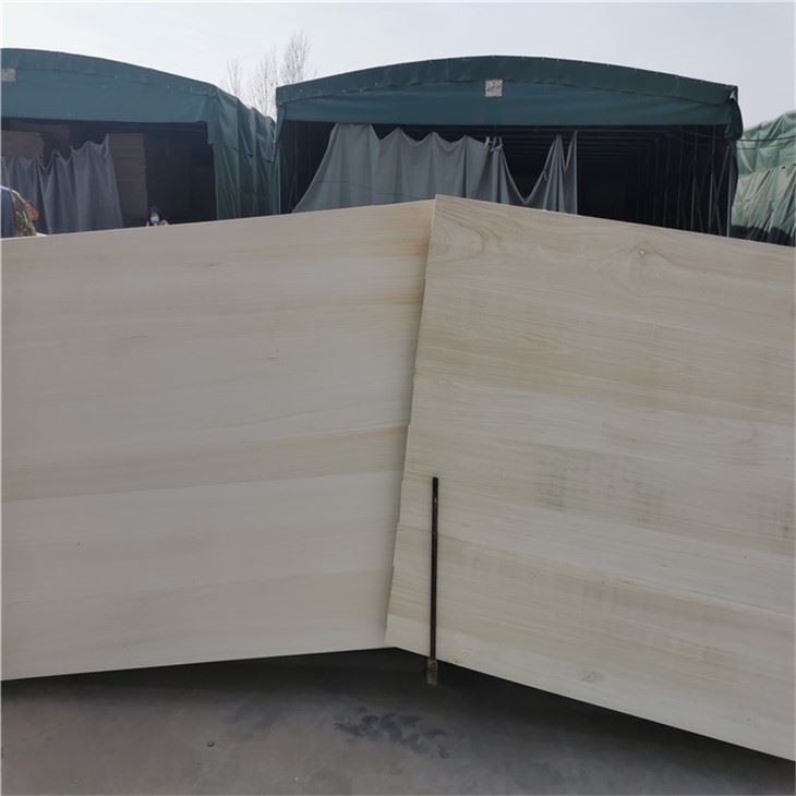 Bo mạch Paulownia dán cạnh